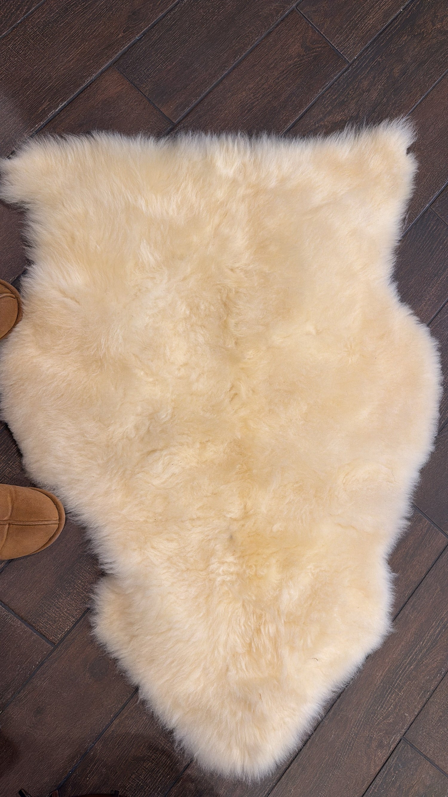 sheep rugs