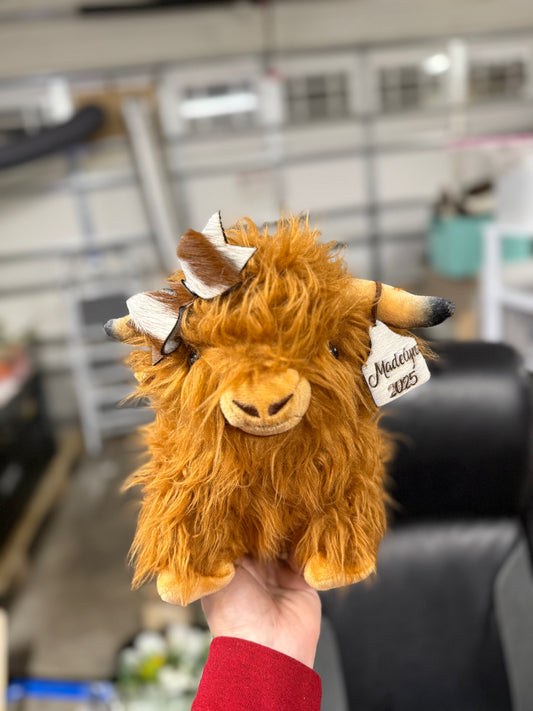 Highland girl cow