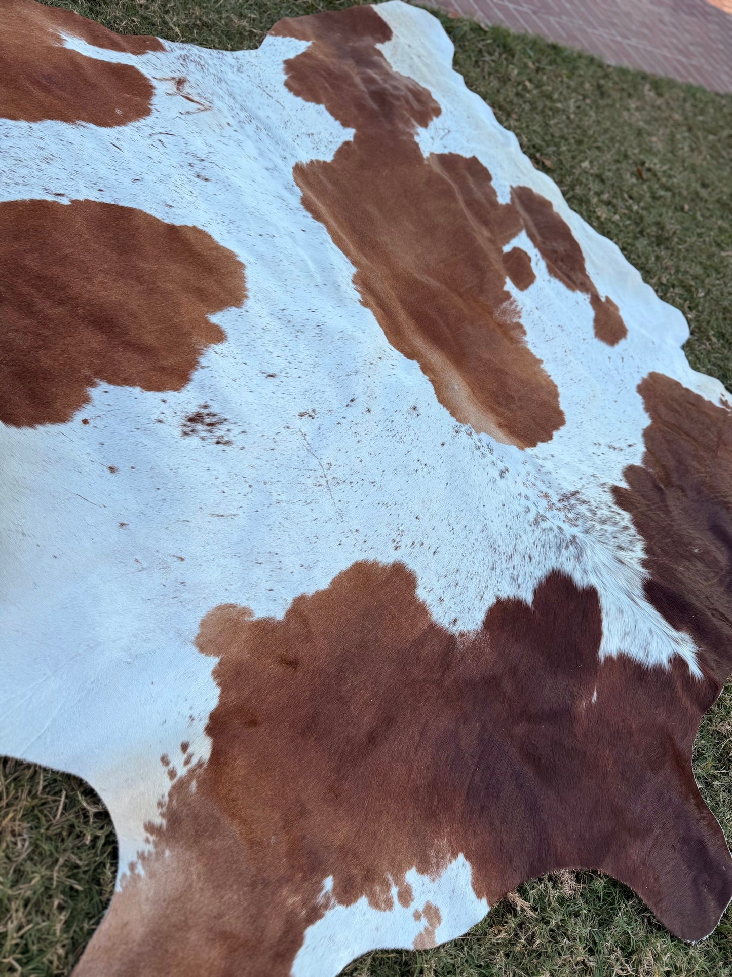 Exotic Full size cowhide rug - size 7’7”