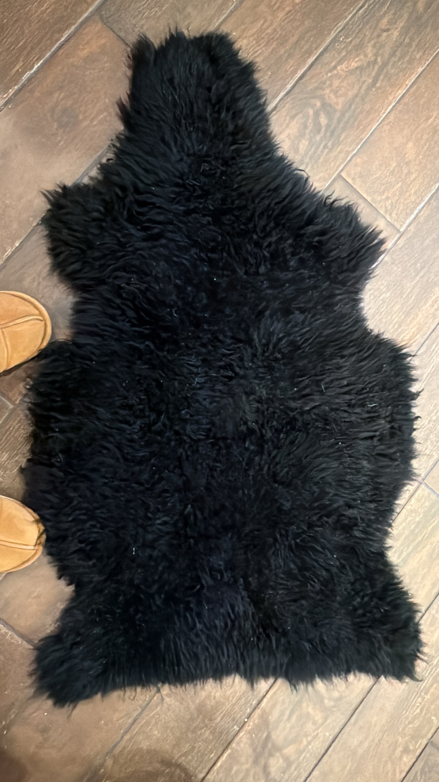 Sheep rug