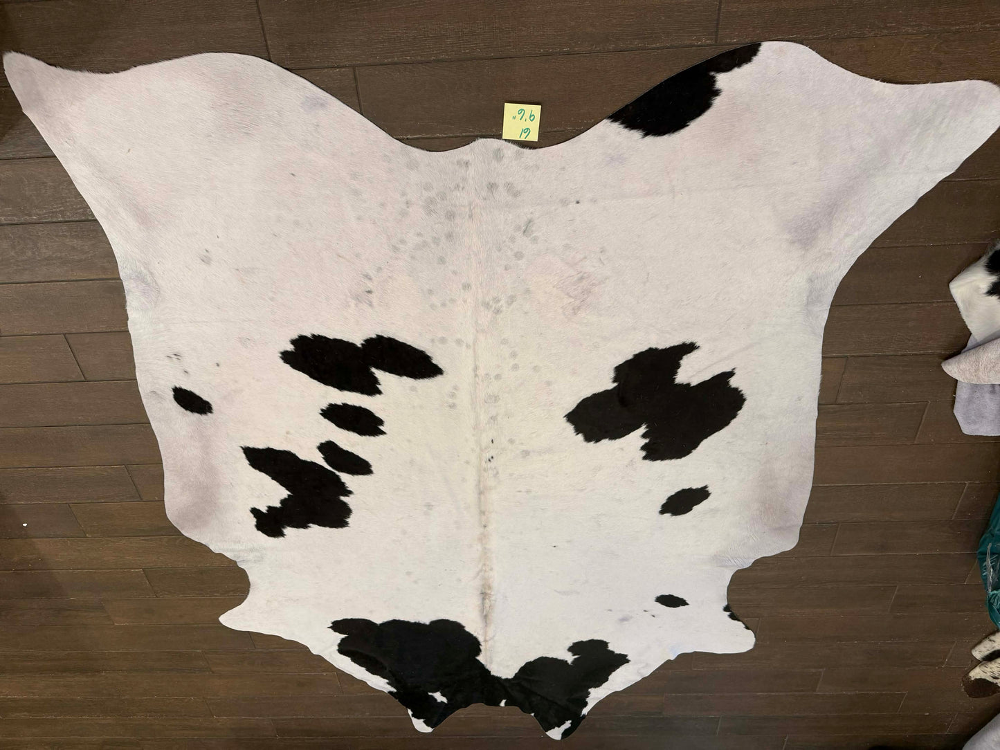 Full size cowhide #61