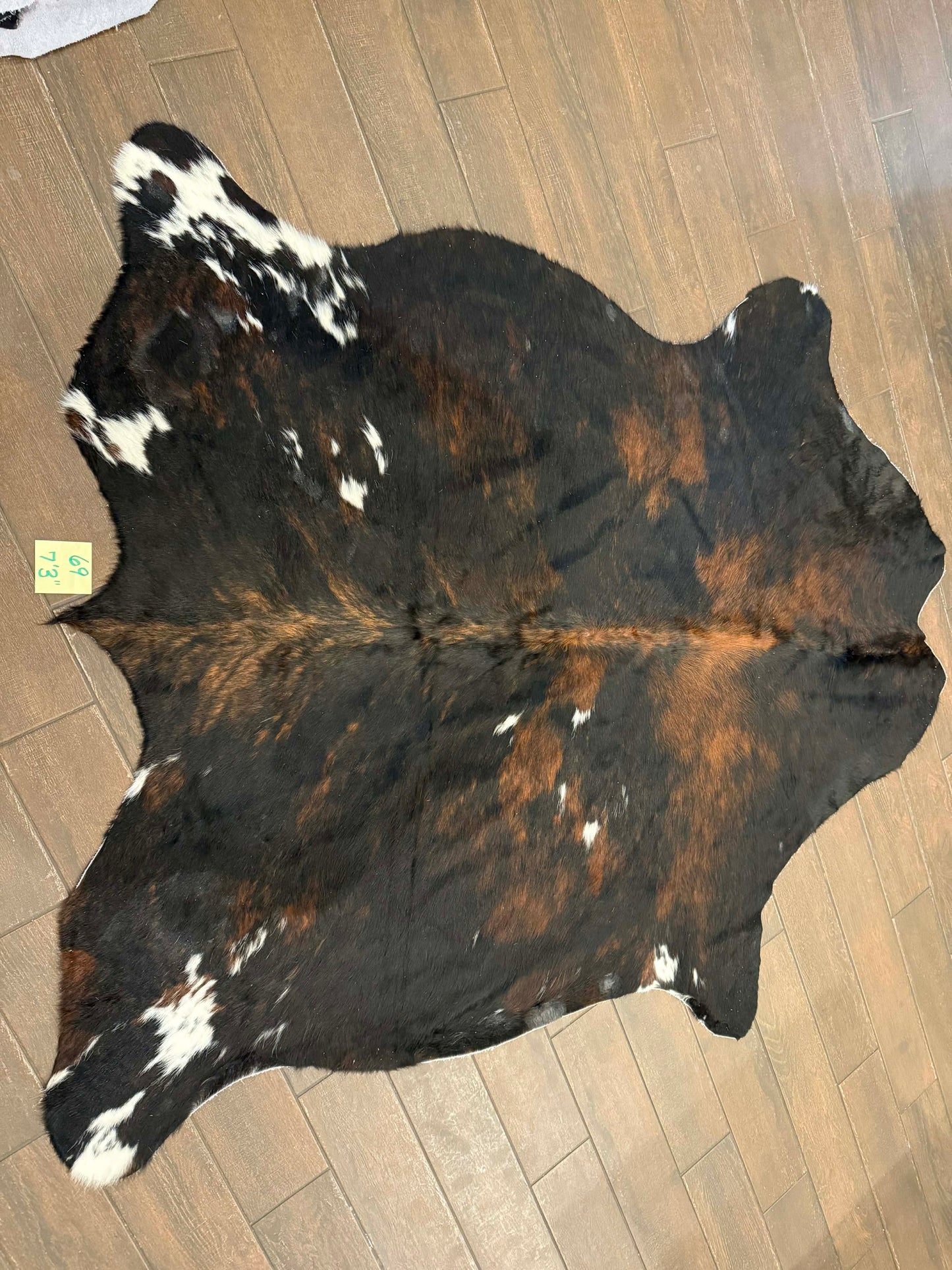 Full size cowhide #69