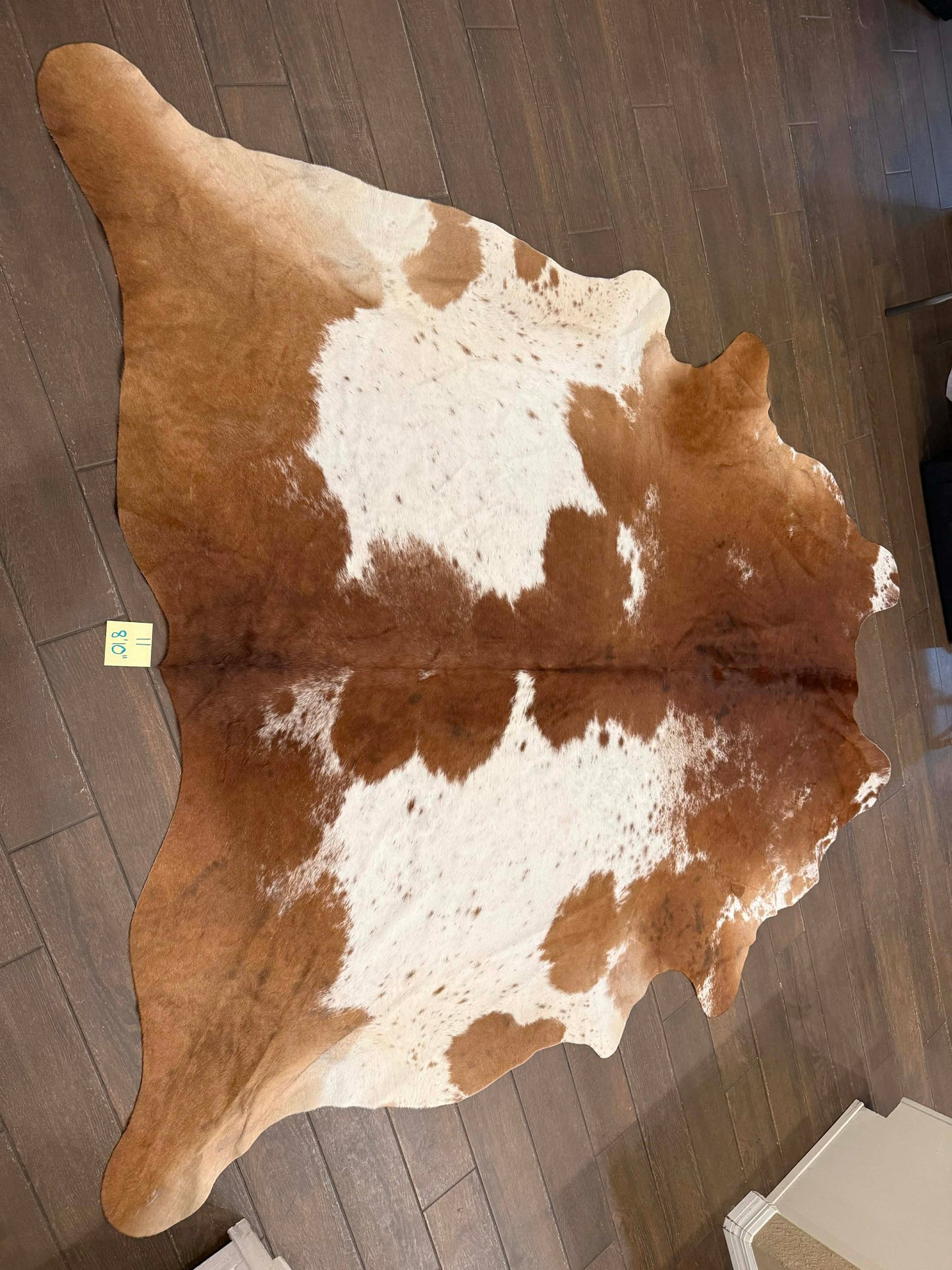 Full size cowhide - #11