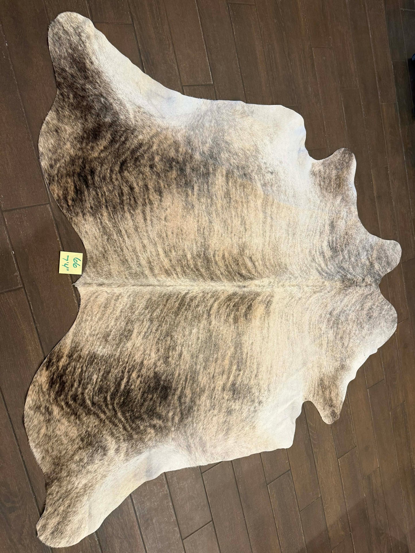 Full size cowhide #66