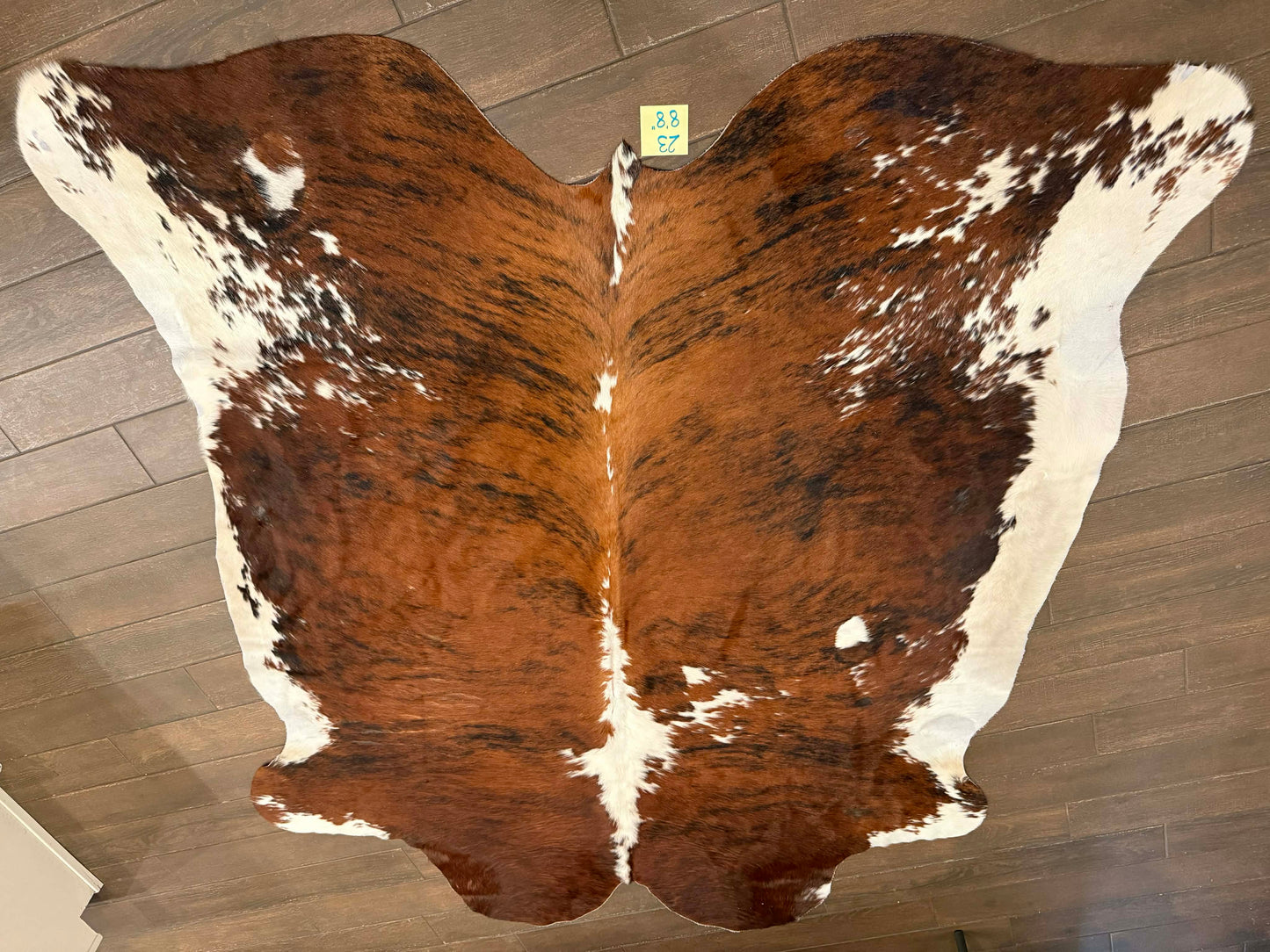 Full size cowhide - #23