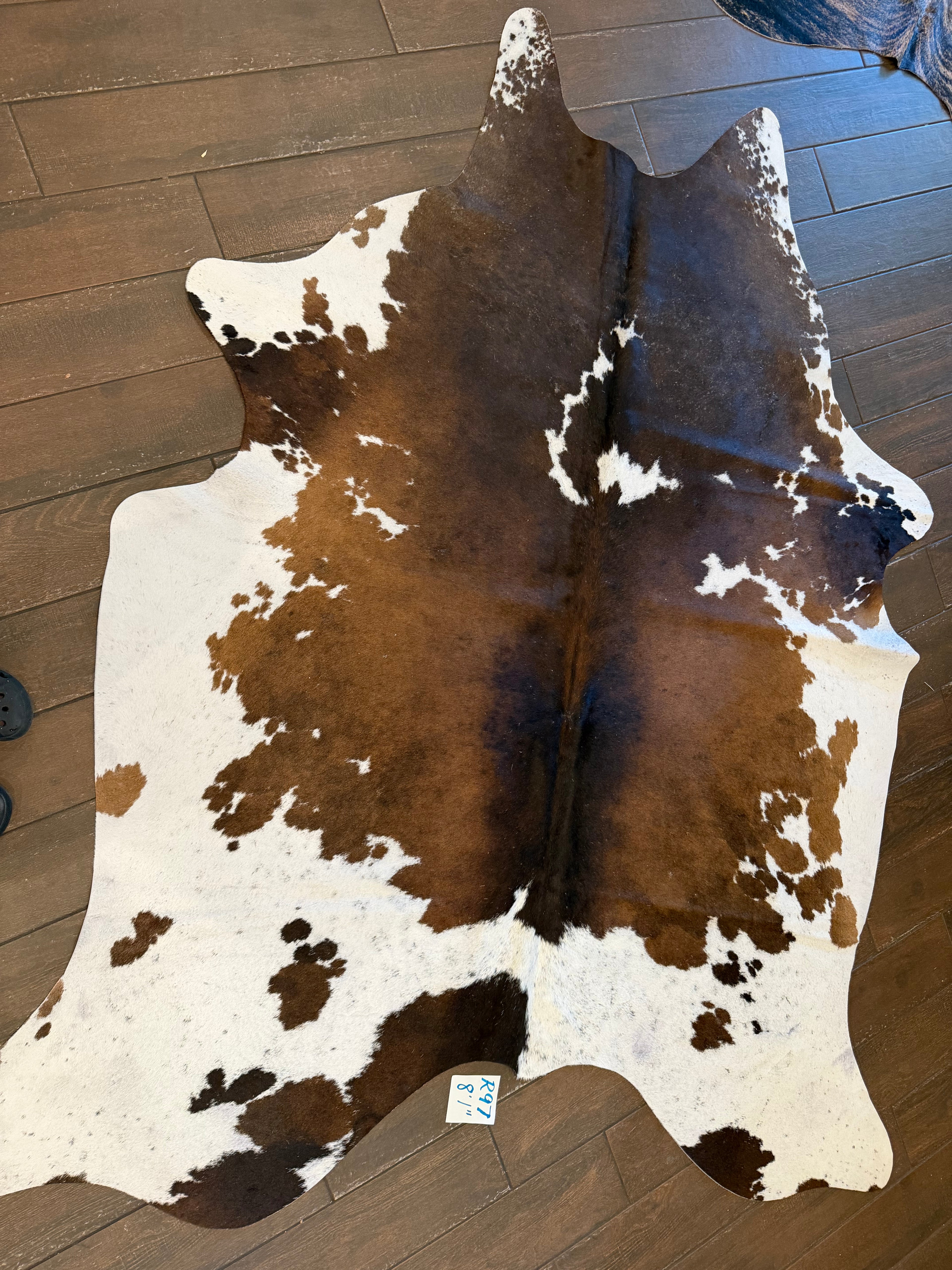 Full size cowhide (exotic)- # R97- 8’1”