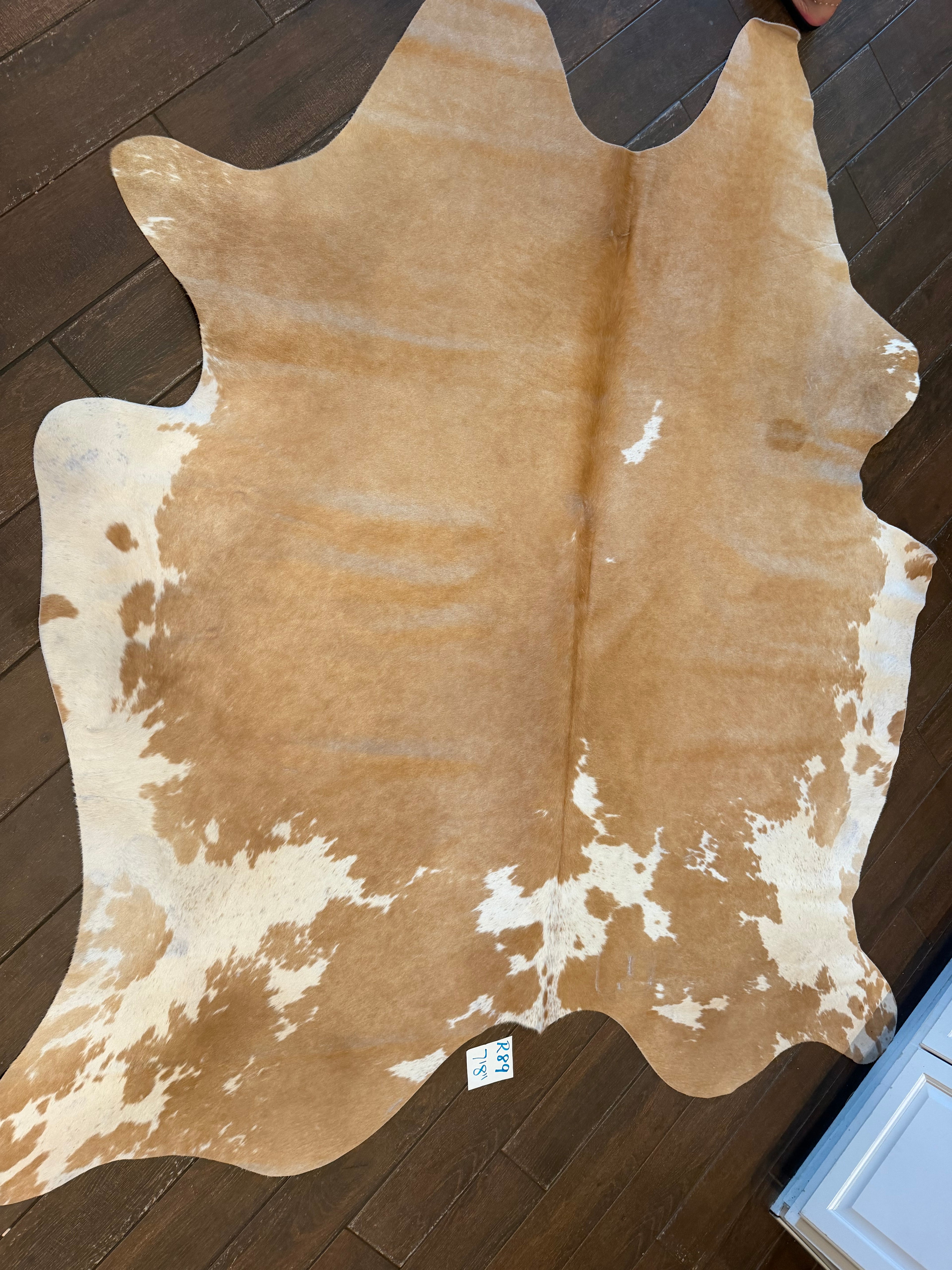 Full size cowhide (exotic)- # R89-7’8”