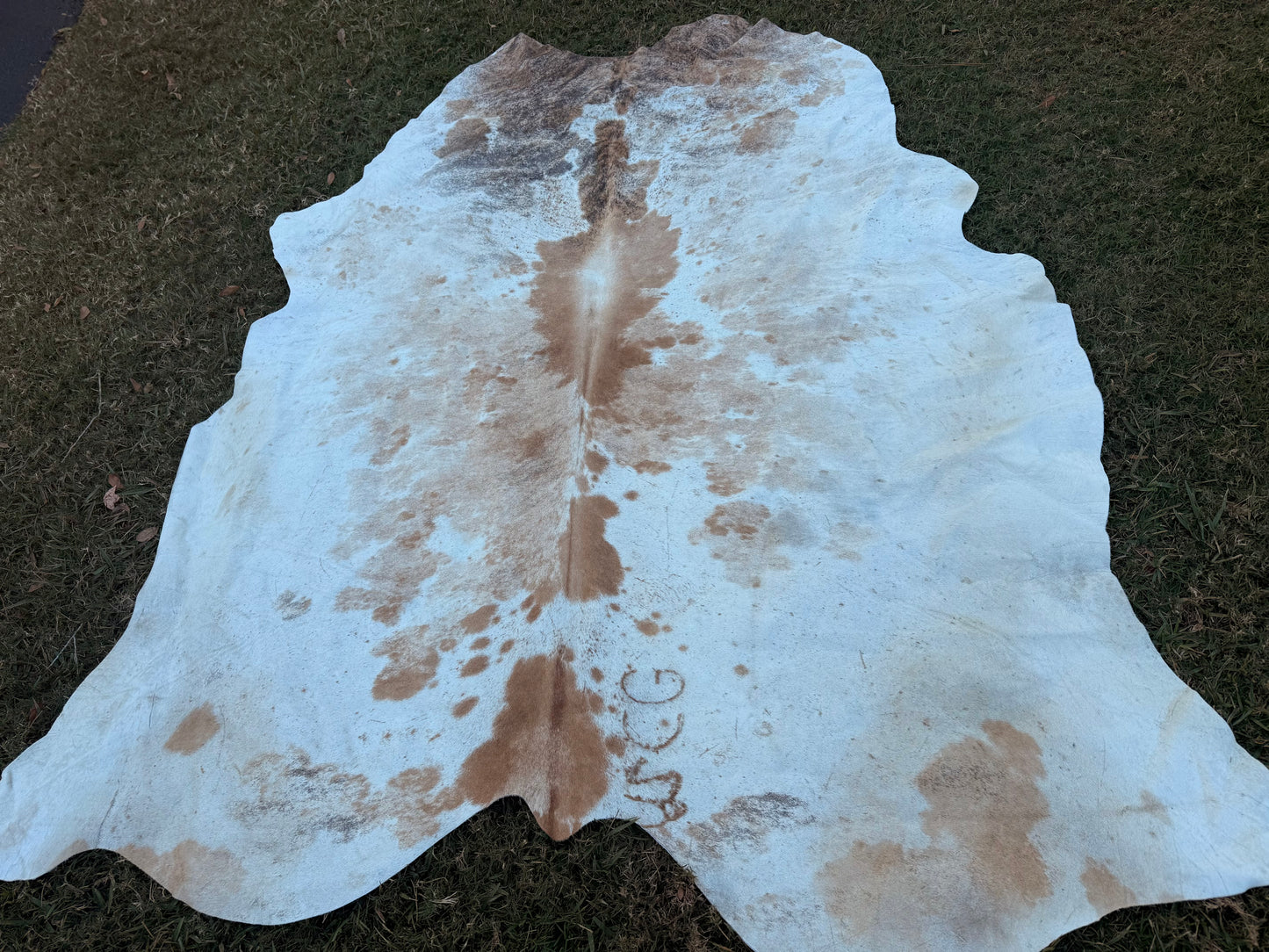 Exotic Full size cowhide rug - size 8'3"