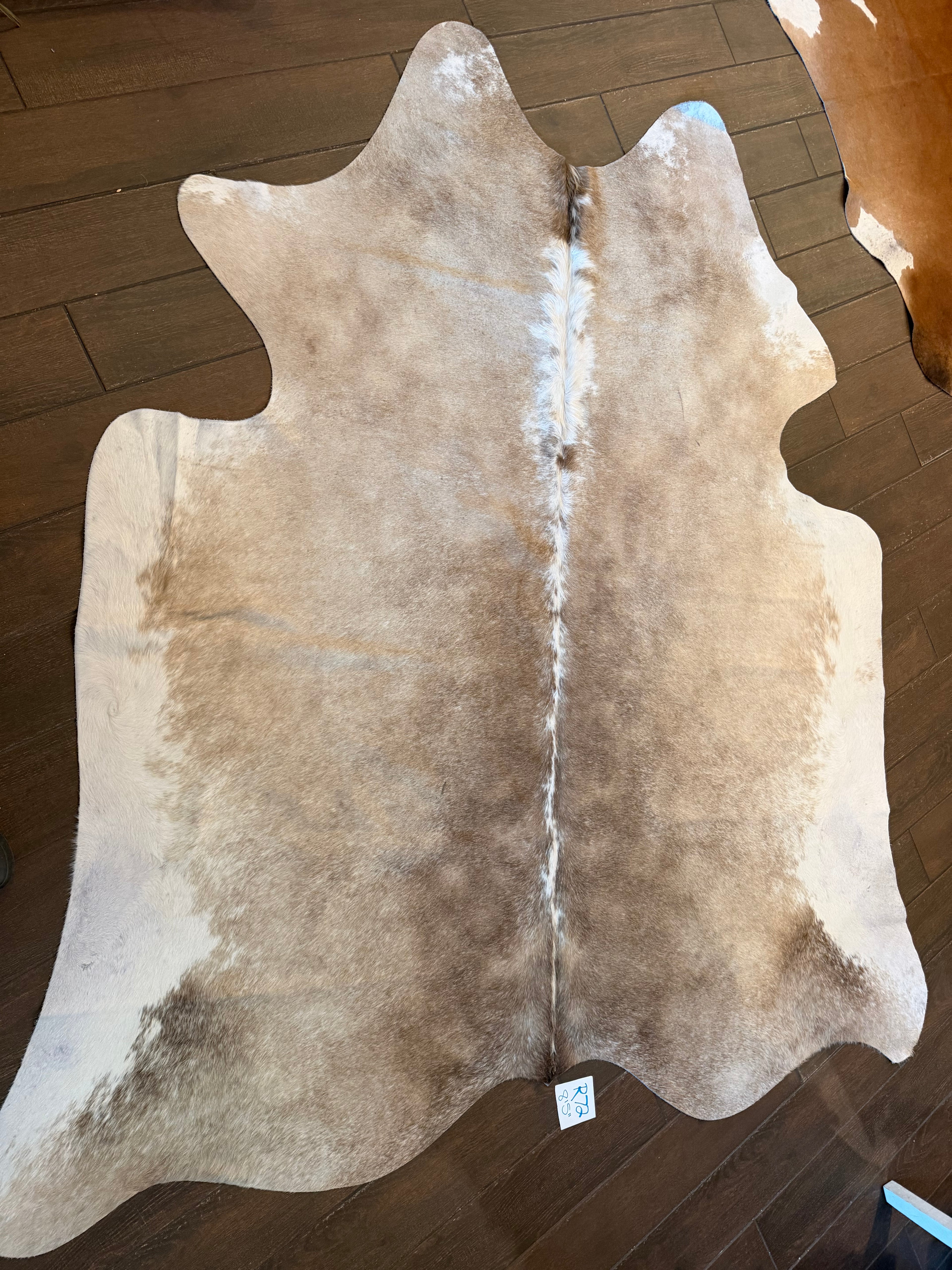 Full size cowhide (exotic)- # R72- 8’5”