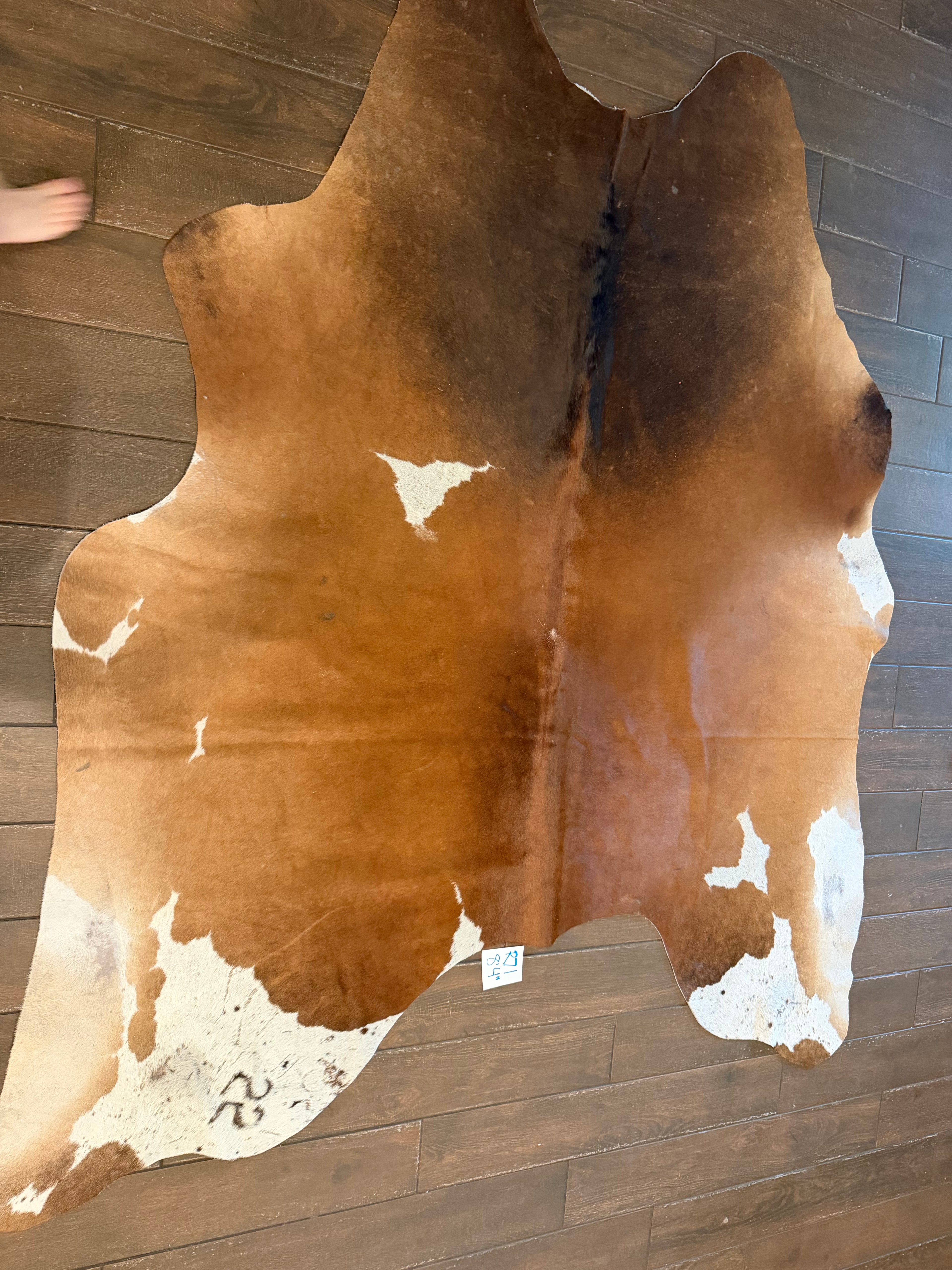 Full size cowhide (exotic)- # R71- 8’4”