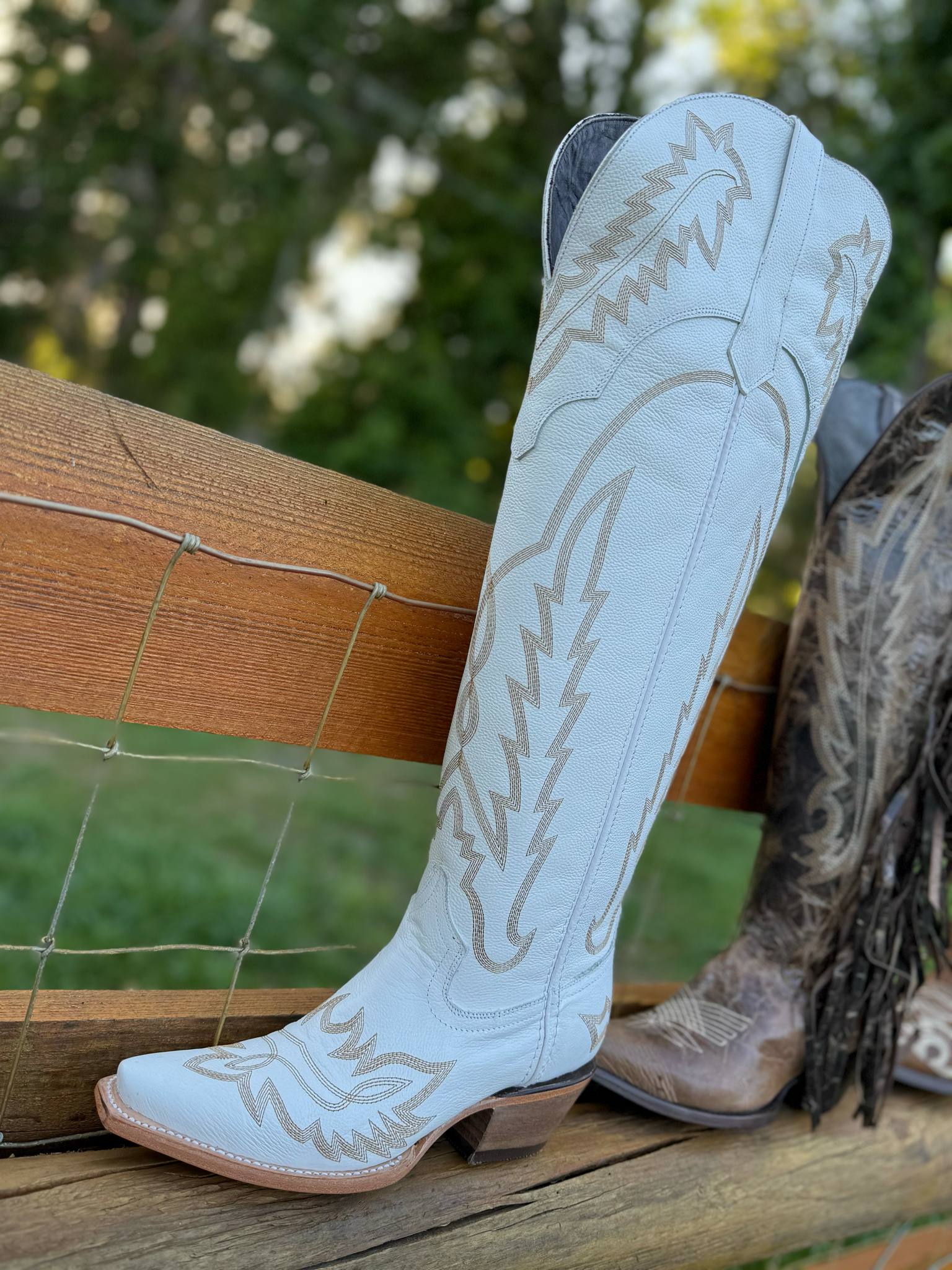 White Tall  NON Fringe Wide Calf Friendly Snip Toe Cowgirl Boot - White