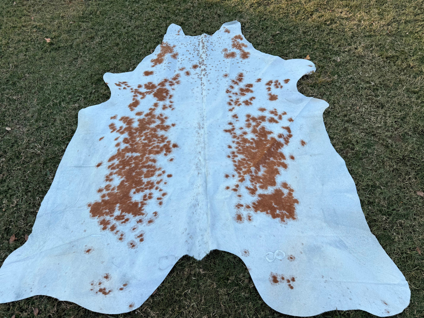 Exotic Full size cowhide rug - size 8’2”