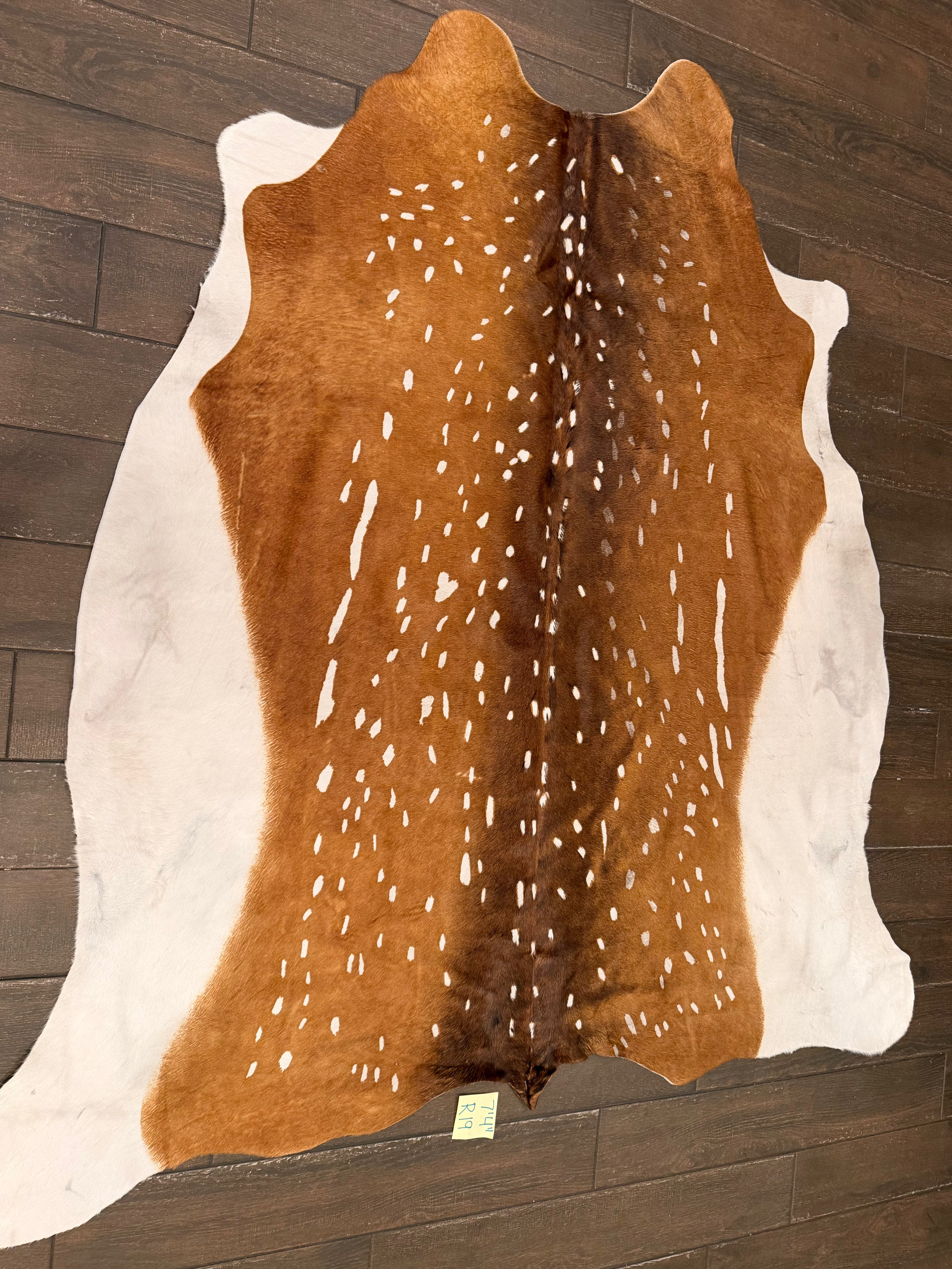 Full size cowhide deer (exotic)- # R19-7’4””