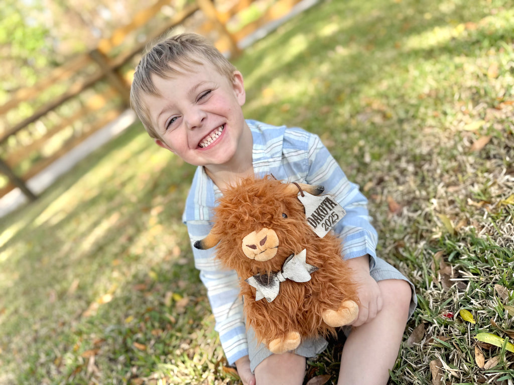 Highland boy cow stuffed toy
