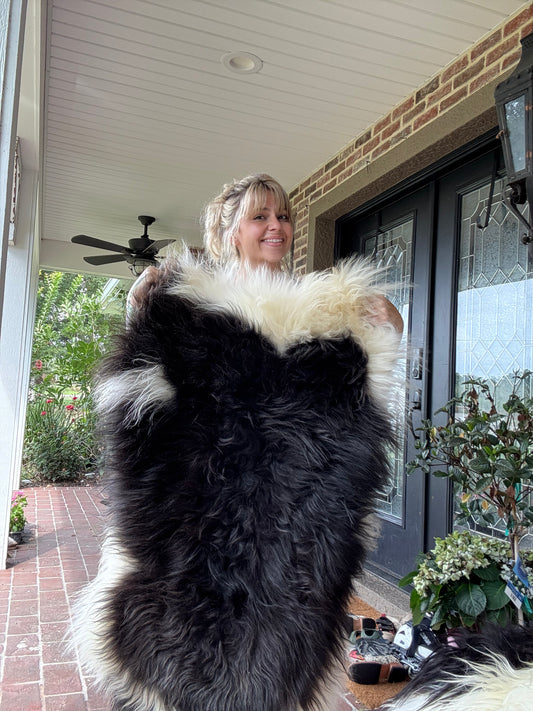 $100 Icelandic sheep hide!:)