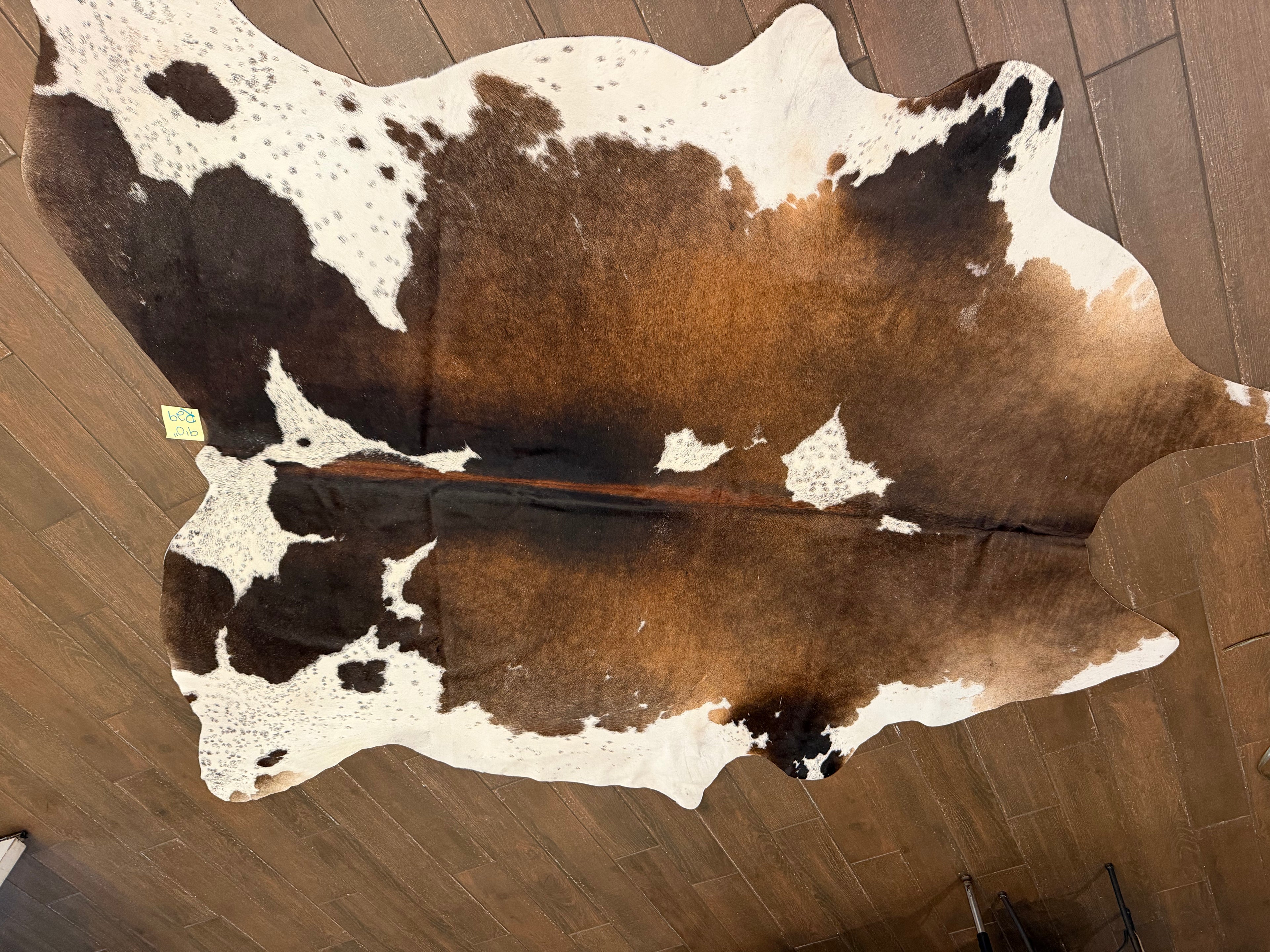 Full size cowhide (exotic)- # R29-9’0”