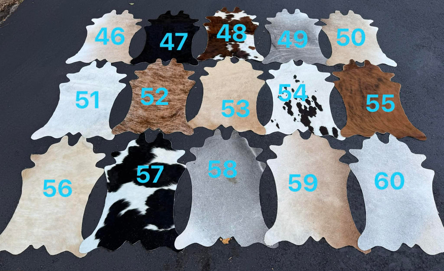 Set B - Calf size hides - 36”-39”