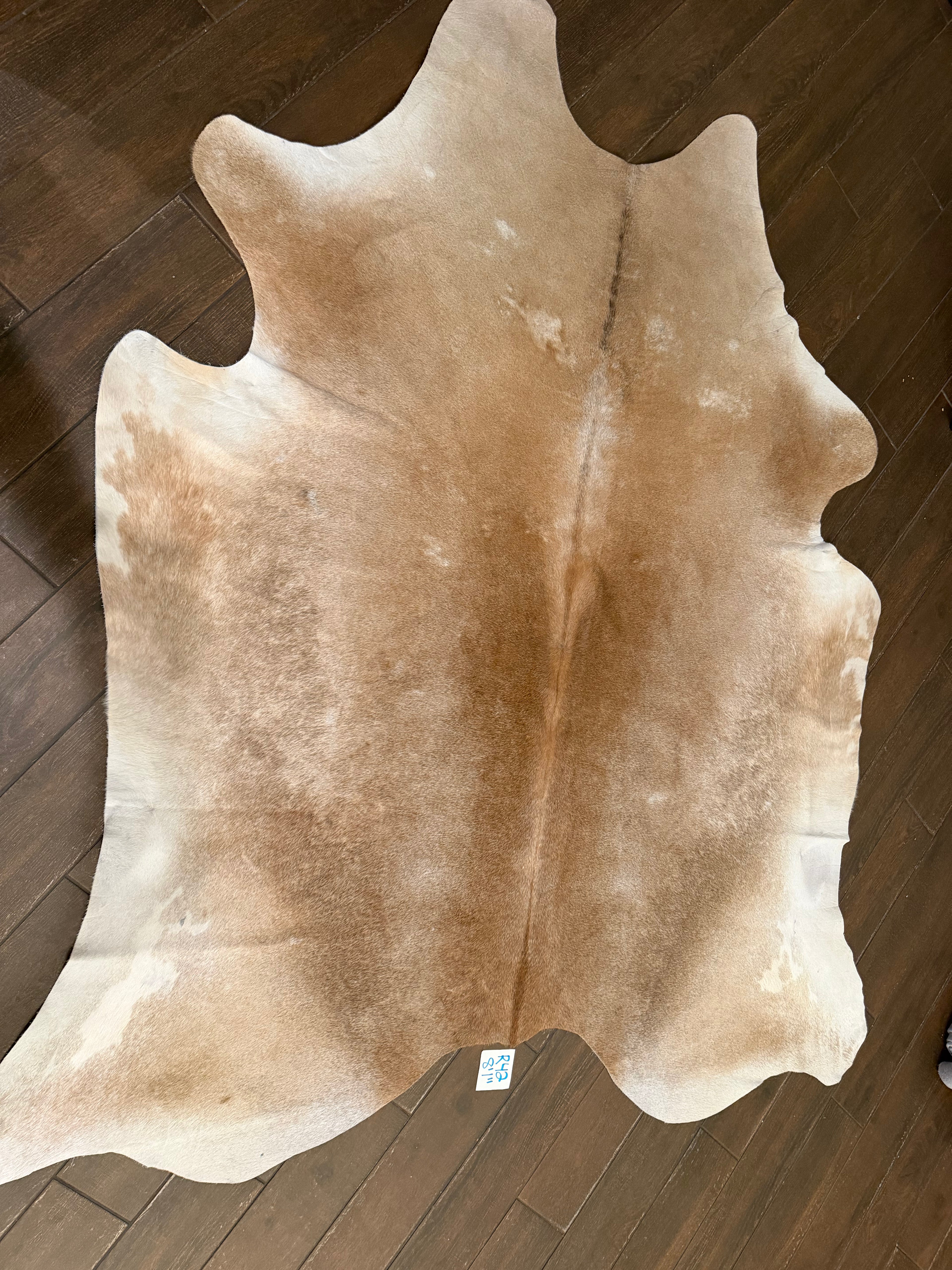 Full size cowhide (exotic)- # R42- 8’1”