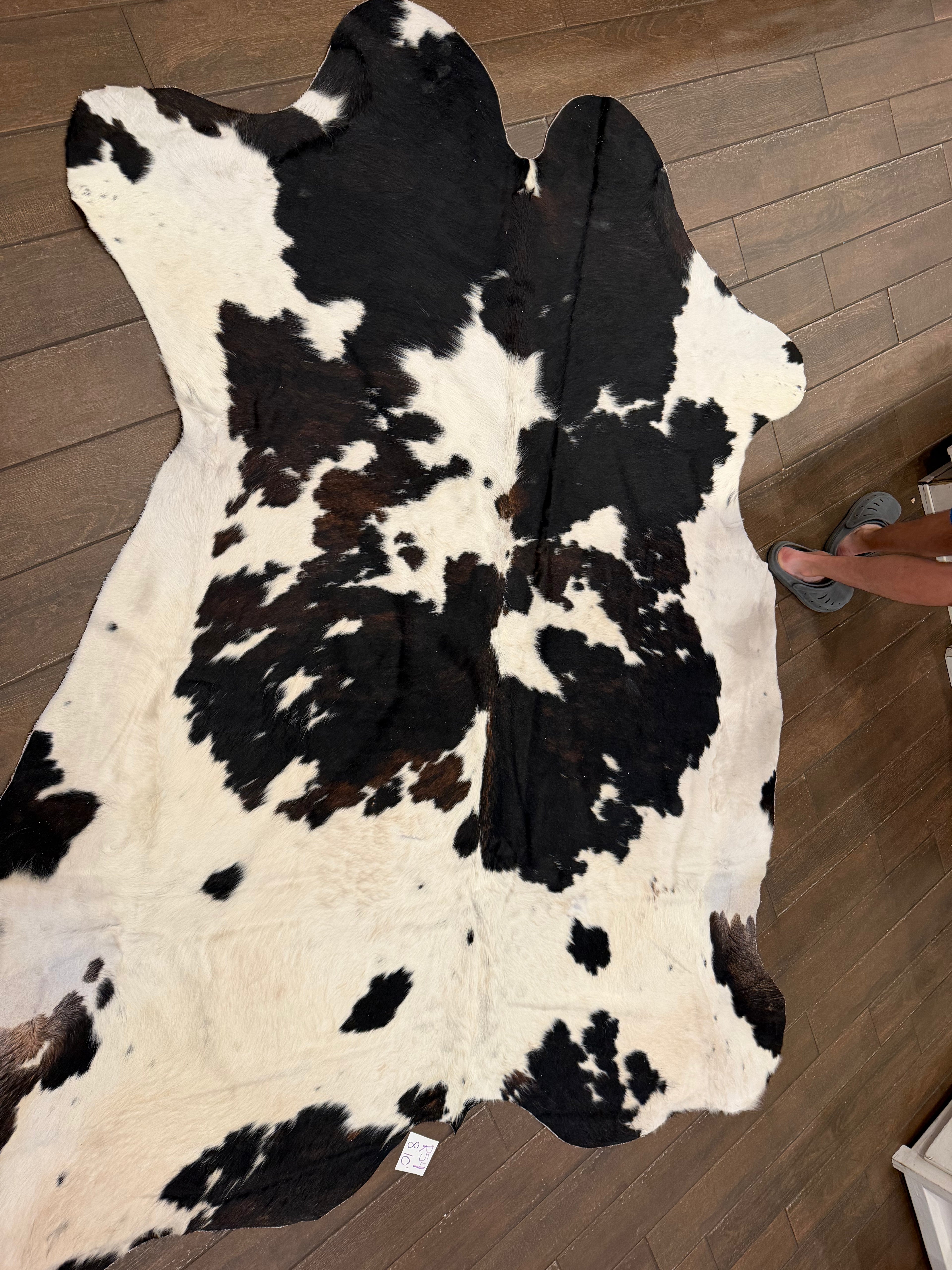 Full size cowhide (exotic)- # R54-8’10”