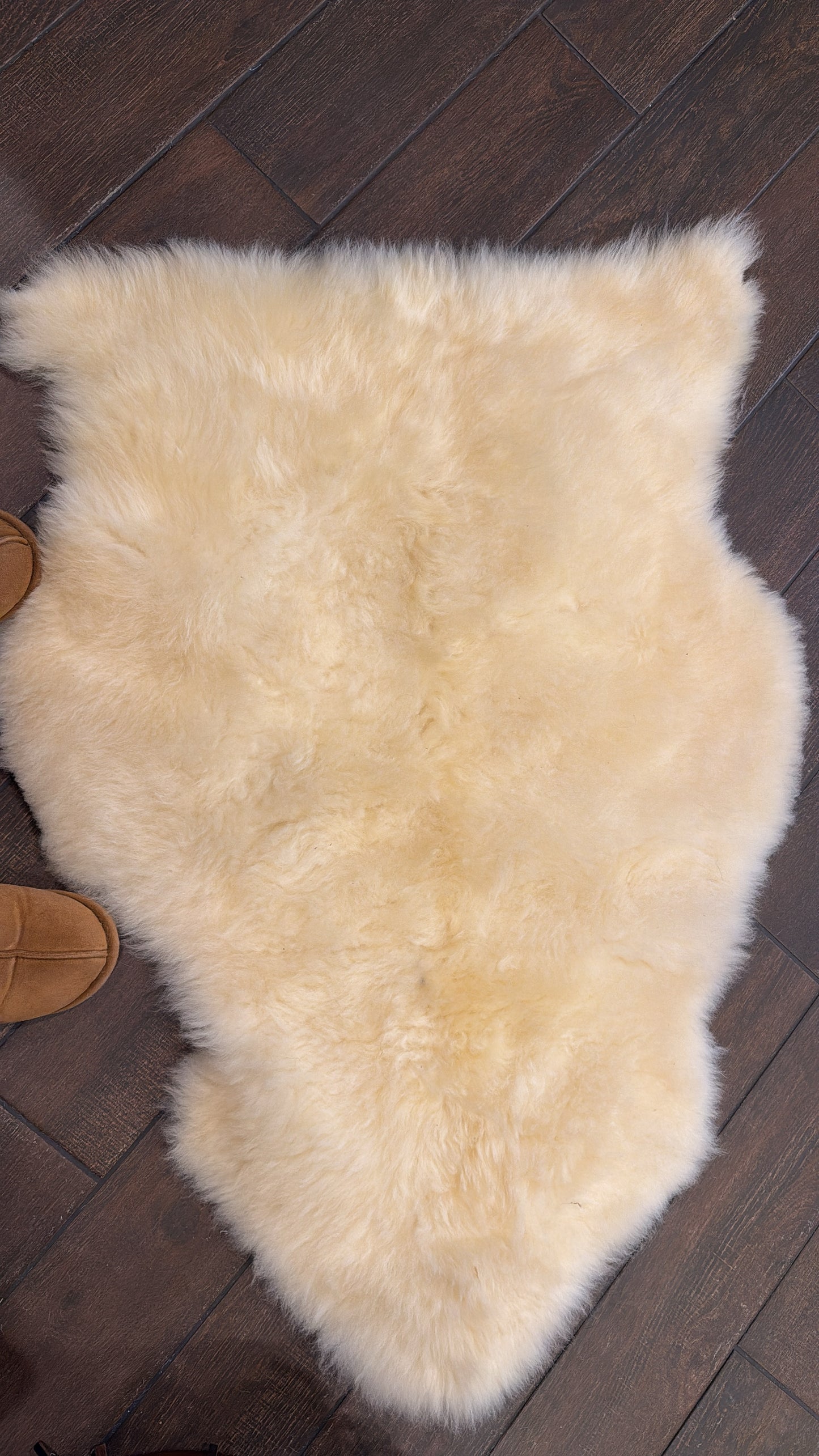 Sheep rug