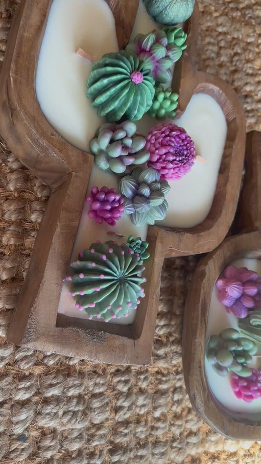 Large Cactus succulent candle