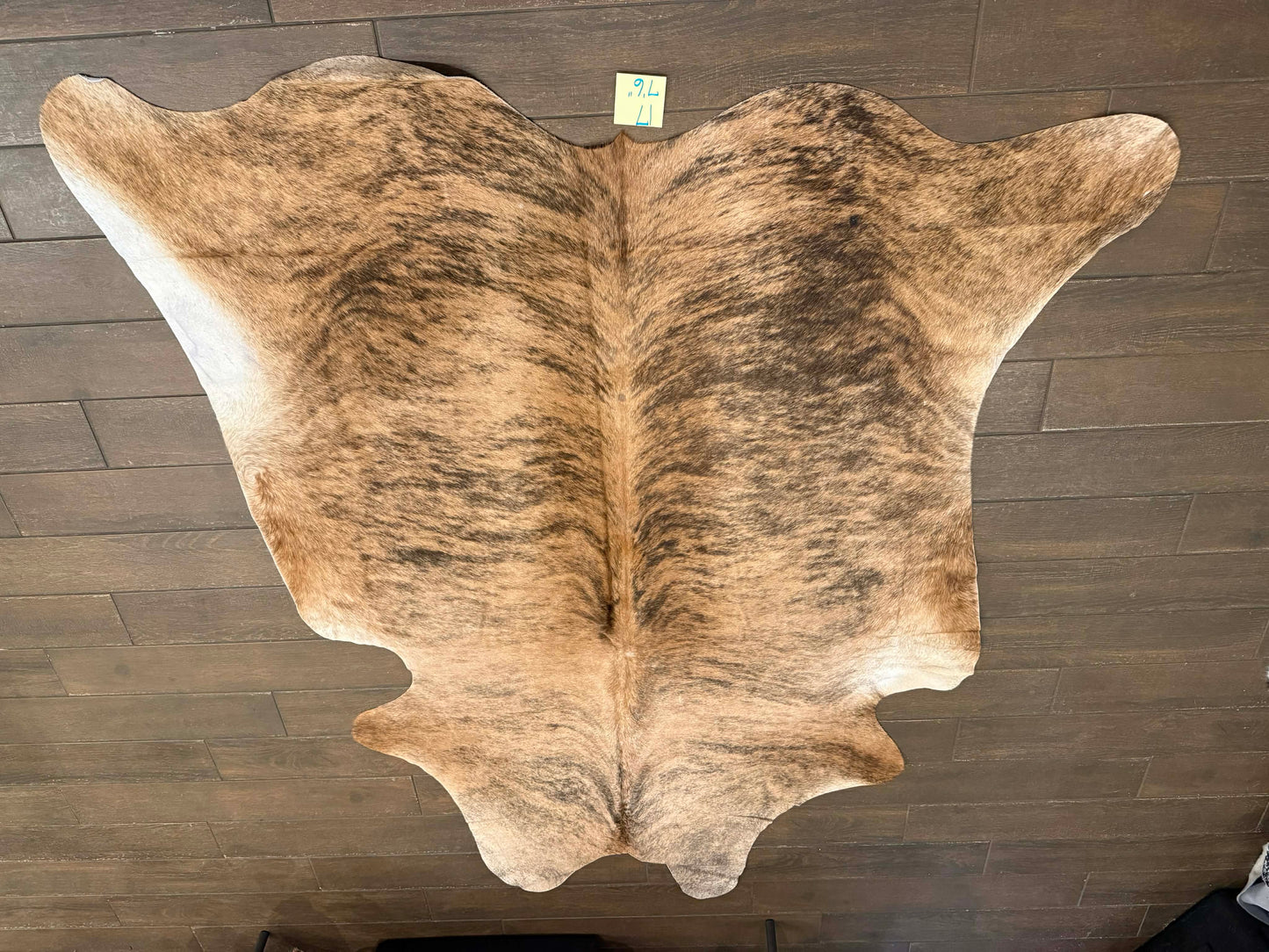 Full size cowhide - #17