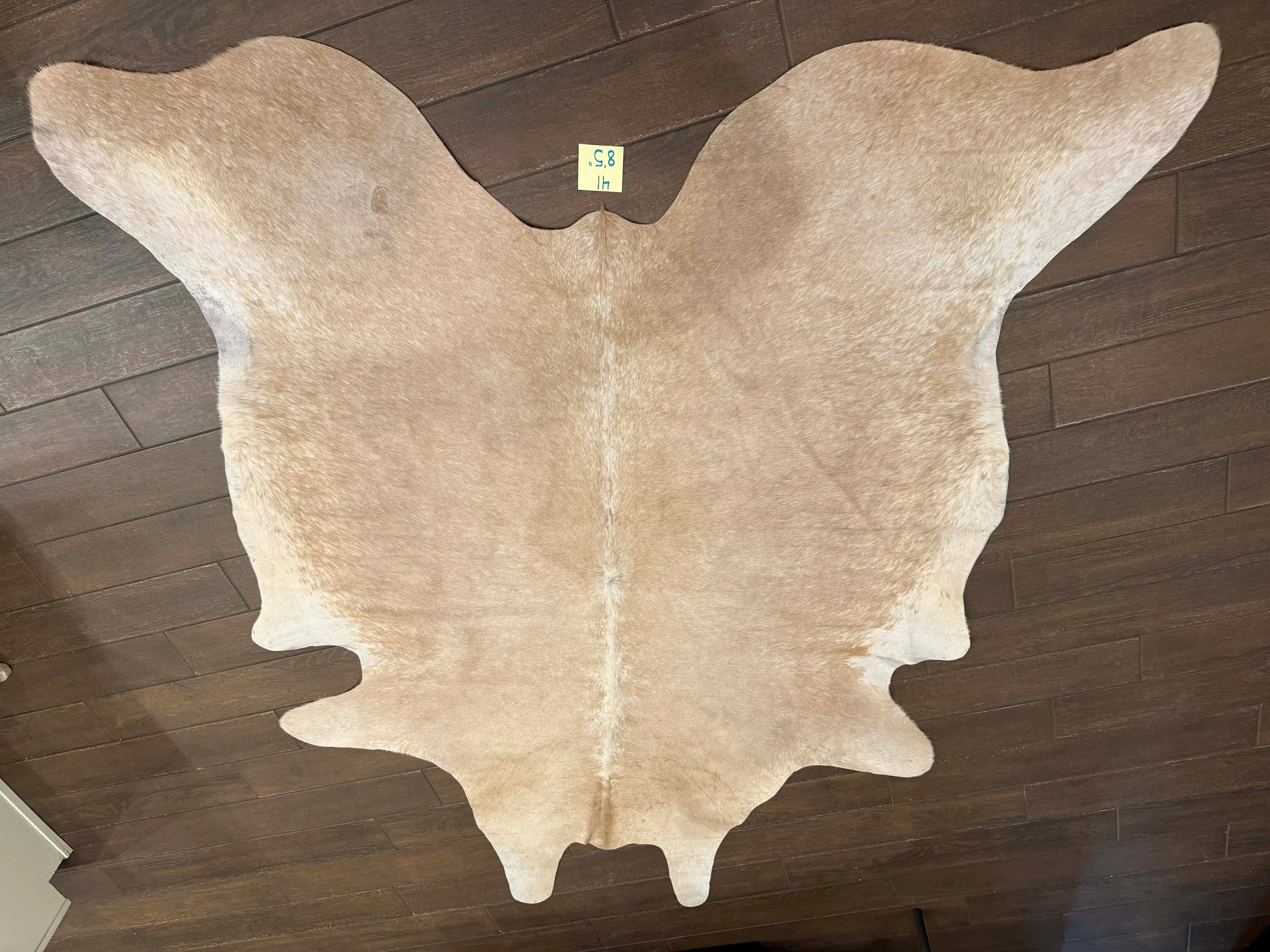 Full size cowhide #41
