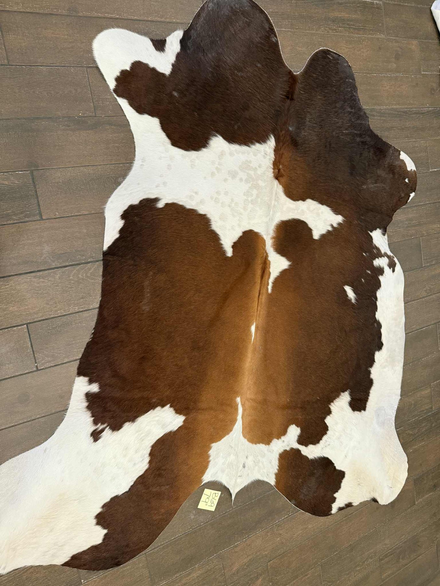 Full size cowhide- B69