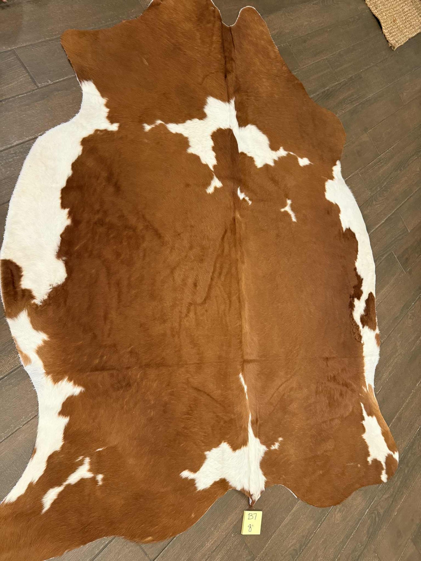 Full size cowhide  - B7