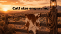 Calf size hide engraving fee