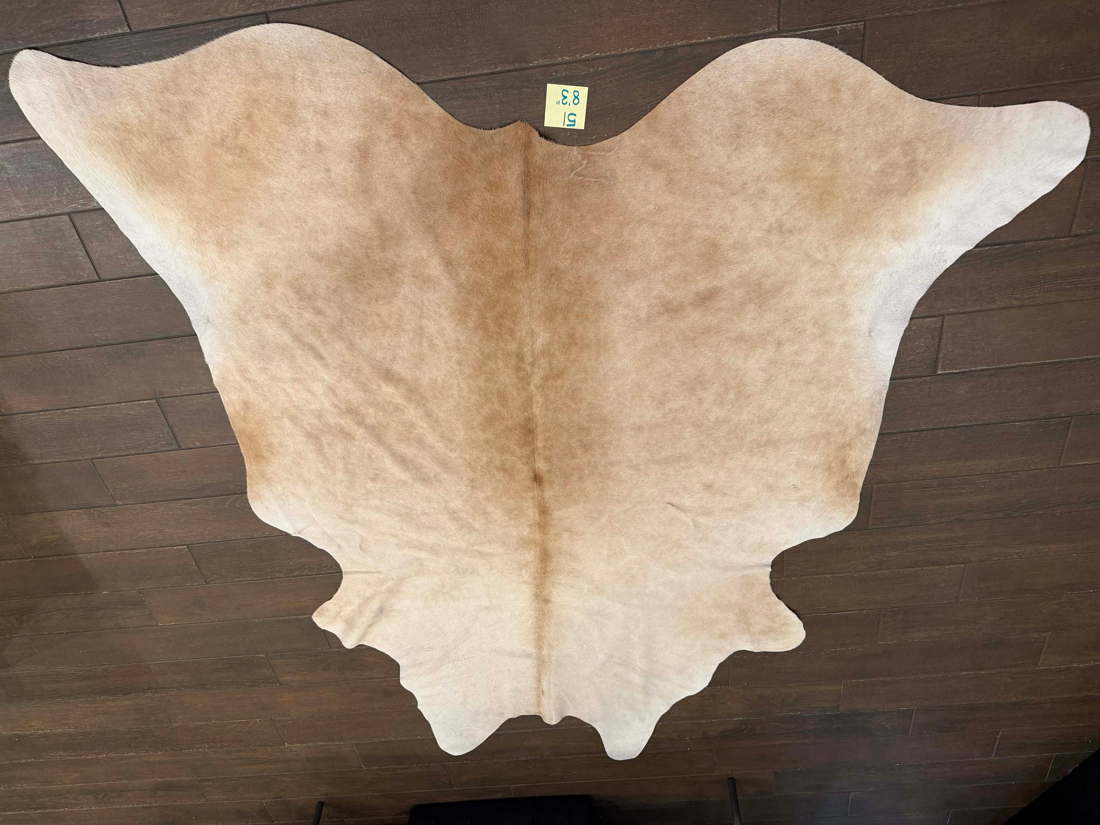 Full size cowhide #51