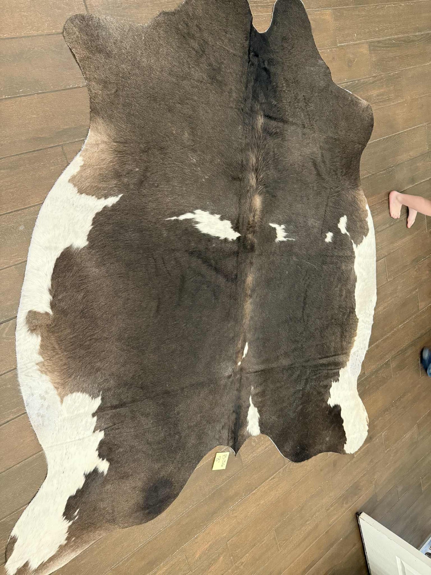 Full size cowhide- B36