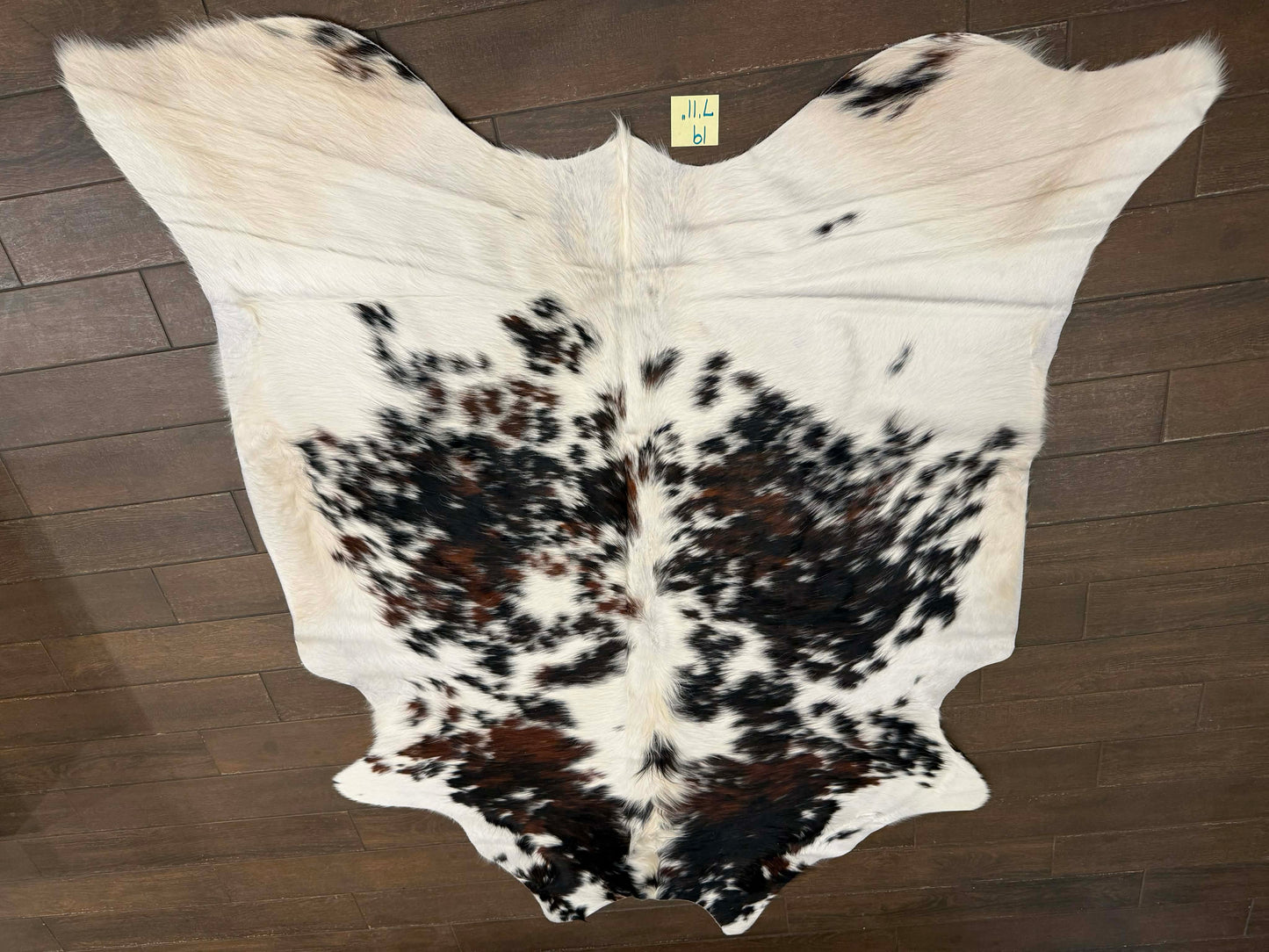 Full size cowhide - #19